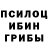 Галлюциногенные грибы мухоморы Sasha Akhunzanova